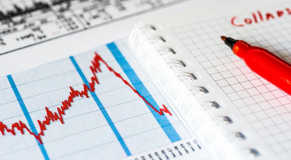 Aumento de las ventas de estufas de pellet y leña