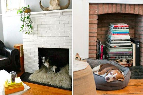 Espacio ideal para tu mascota: la chimenea