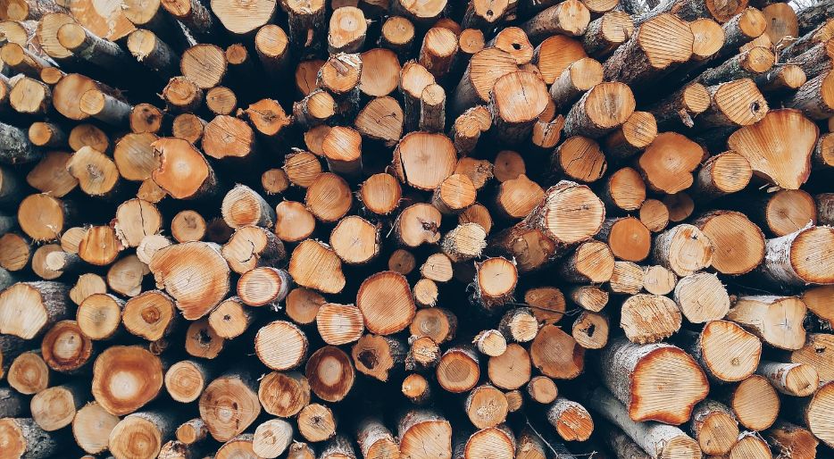 Why should you buy firewood in spring and summer?