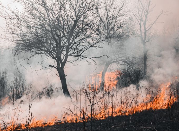 Peligros del humo en incendio